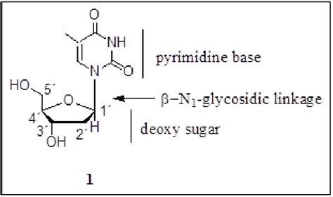 Thymidine