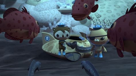 Octonauts Abc Iview