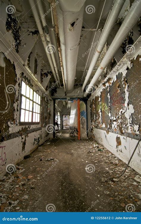 Abandoned Hallway stock photo. Image of dirty, rustic - 12255612