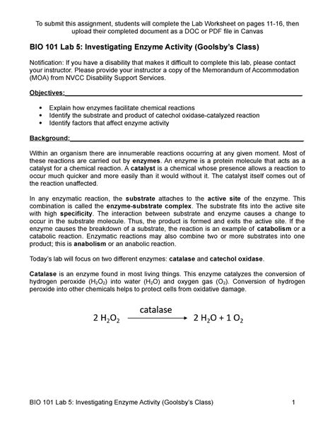 BIO 101 Lab 5 Enzymes Upload Their Completed Document As A DOC Or