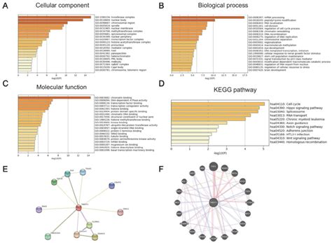 The Significantly Enriched Go Annotation And Kegg Pathway Terms Of