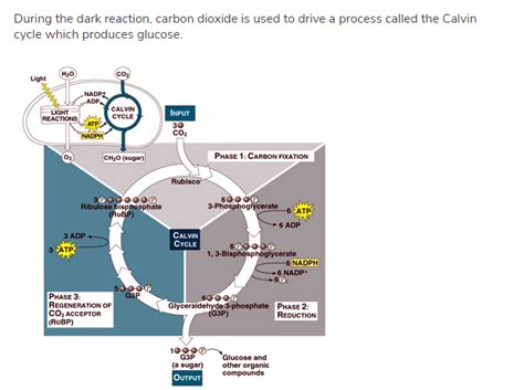 Is photosynthesis a chemical reaction?