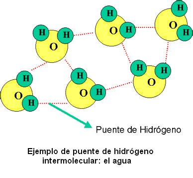 Quimica Enlace Por Puente De Hidrogeno