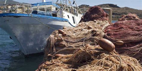 Pesca Parte Da Messina La Campagna Porto Sicuro Della Fai Cisl