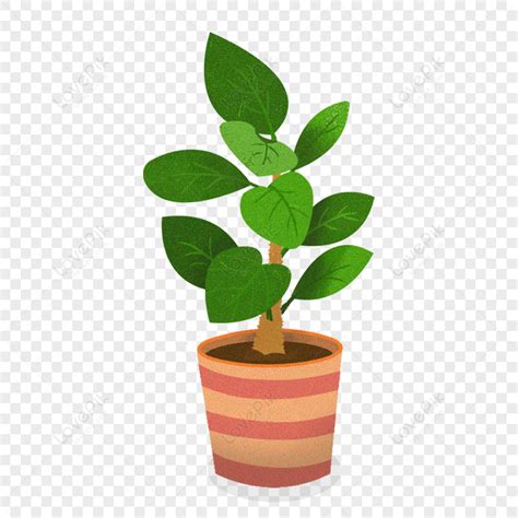 Small Fresh Potted Plants Png Transparent Background And Off