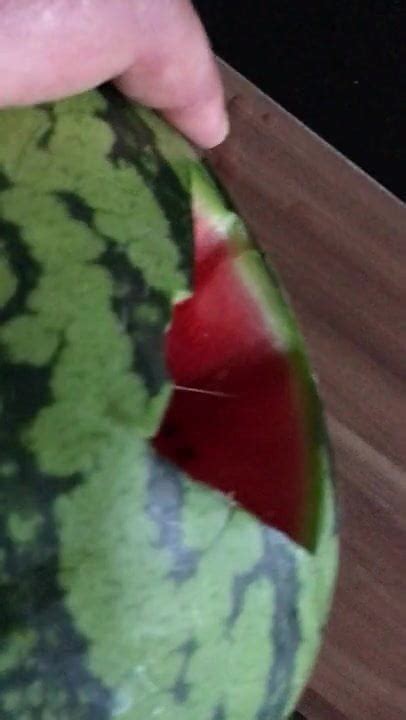 Melon Fuck Free Solo Man HD Porn Video 66 XHamster