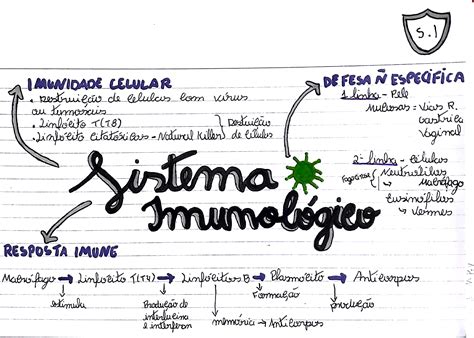Exercícios Sobre Sistema Imunológico 8 Ano Com Gabarito