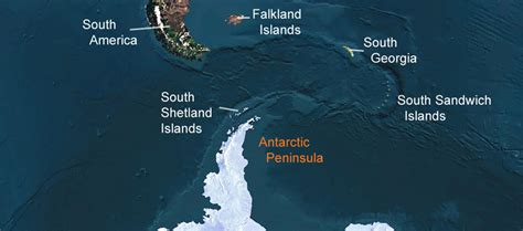 Antarctica Peninsula Cruise and Travel Guide 2024 - 2025