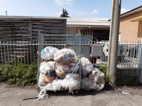 Puzza Dai Sacchi Di Rifiuti Abbandonati Sanzione Di Euro Prima Monza