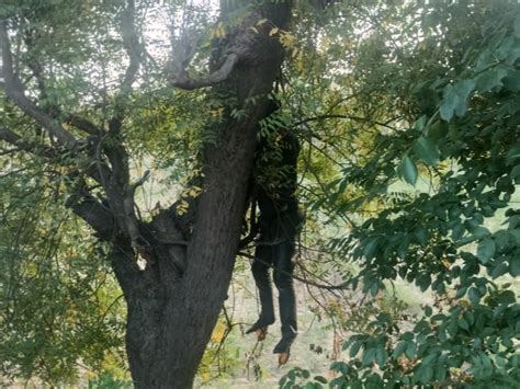 The Dead Body Was Hanging From The Tree On The Banks Of Rajwah In Iglas