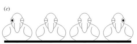 Ecology Chapter 3- Exam 1 Flashcards | Quizlet 