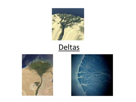 Deltas Types Formation Case Studies