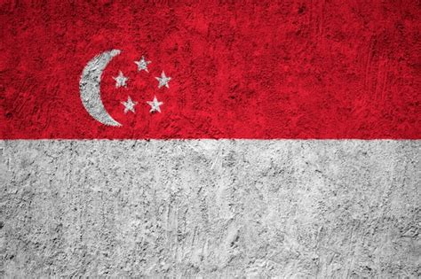 Bandeira Nacional Pintada De Singapura Em Uma Parede De Concreto Foto