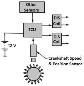 Distributorless Ignition System: Diagram, Working & Components