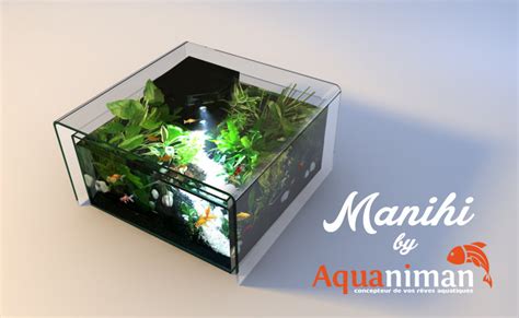 Table Basse Aquarium Occasion Belgique Ladolceviedchat Fr