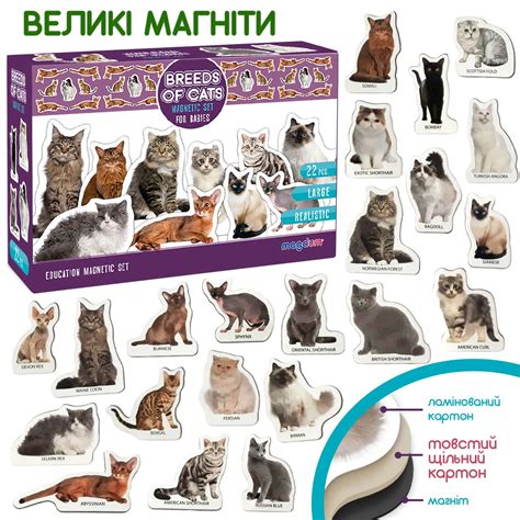 Все породы котов (60 картинок)