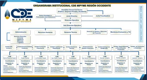 Organigrama