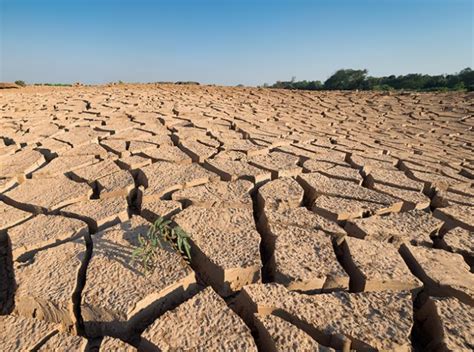 Cambiamenti Climatici Necessaria Una Nuova Fase Per La Gestione Dei