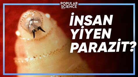 BU PARAZİTLERE DİKKAT Popular Science Türkiye YouTube