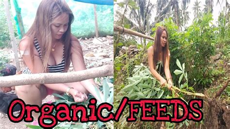 Naka Organic Tayu Para Tipid Sa Feeds Yamuastv Pgntguimaras Youtube