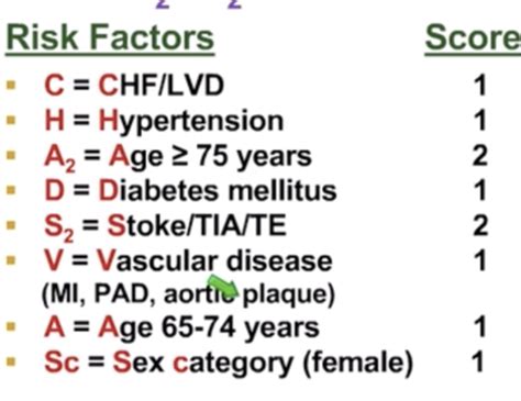 Pharmacology Exam 1 Afib Flashcards Quizlet