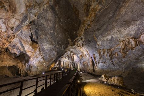 Tour Paradise Cave And Trekking Phong Nha Botanical Garden Phong Nha