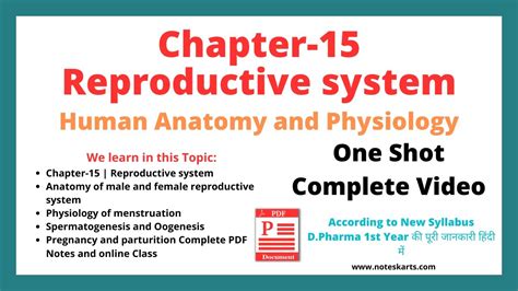 Ch Human Reproductive System Complete Class In One Class D Pharma