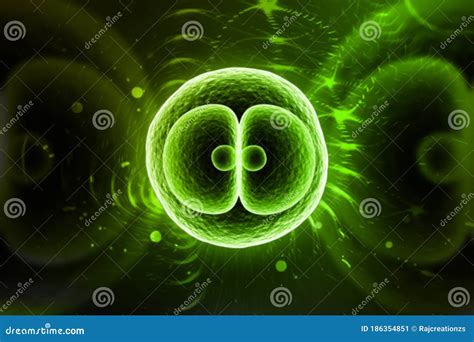 3d Rendered Zygote Cell Division Isolated On Color Background Royalty