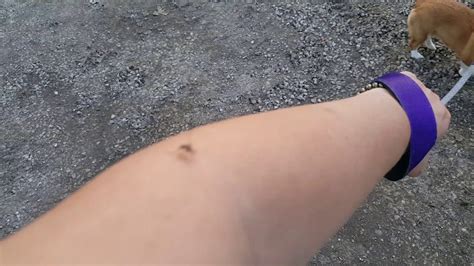 There Is A Big Ass Hole In My Yard YouTube