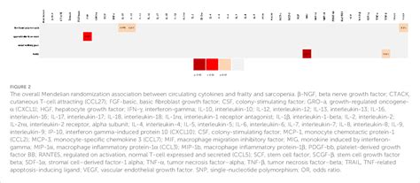 Figure 2 From The Causal Association Between Circulating Cytokines With