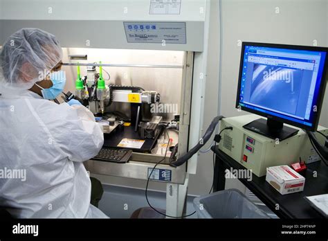 Bioprinting Of Tissues And Organs Hi Res Stock Photography And Images