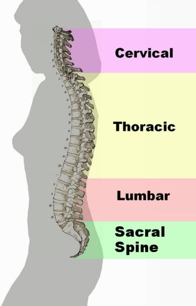 Kode Icd 10 Low Back Pain