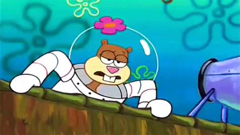 Spongebob Hibernation Sandy