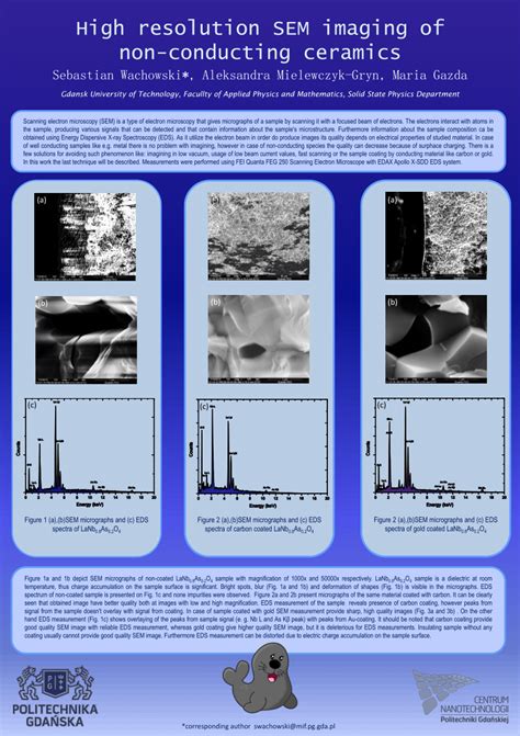 PDF High Resolution SEM Imaging Of Non Conducting Ceramics