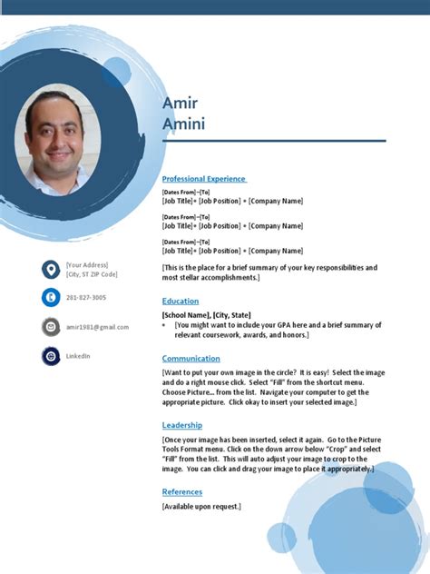 Resume Template Blue Spheres Pdf