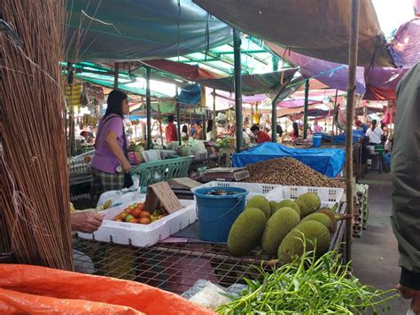 Root Crops Grown In The Philippines Hubpages