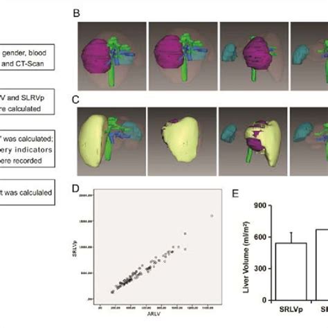 Effects of operation conditions on liver regeneration rate ...