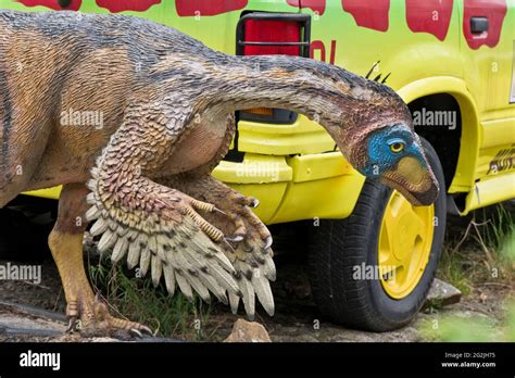 Velociraptor Jurassic Park Hi Res Stock Photography And Images Alamy