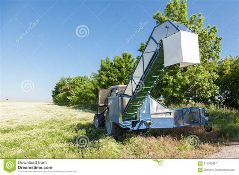 Machine Harvesting Chamomile from Field Stock Image - Image of farmer, color: 115305967