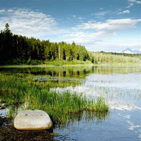 Two Ocean Lake Grand Teton Np Wy Flickr Photo Sharing