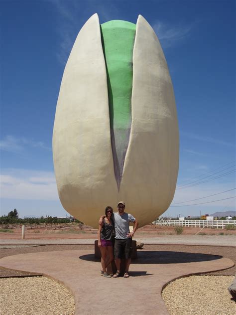 Pussy Of The Day QBN