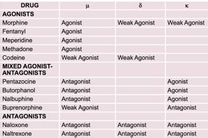 Opioids Flashcards Quizlet