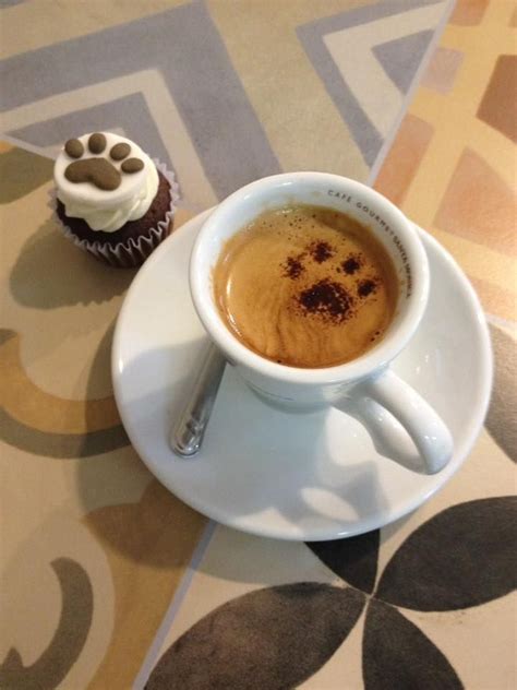 PINCHER (café Espresso pq.) | Tableware, Latte, Glassware