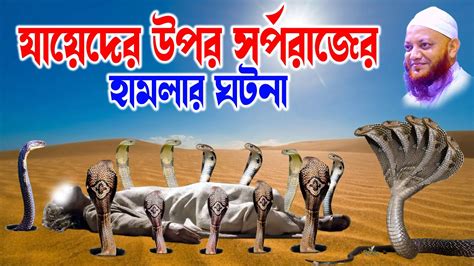 কামরুল ইসলাম আরেফী Kamrul Islam Arifi Arefi Waz যায়েদ ও