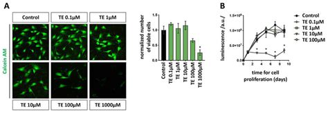 Biomolecules Free Full Text Testosterone Enanthate An In Vitro