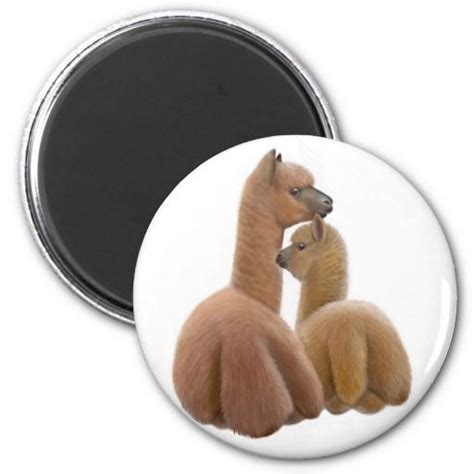 Alpaca Love Magnet