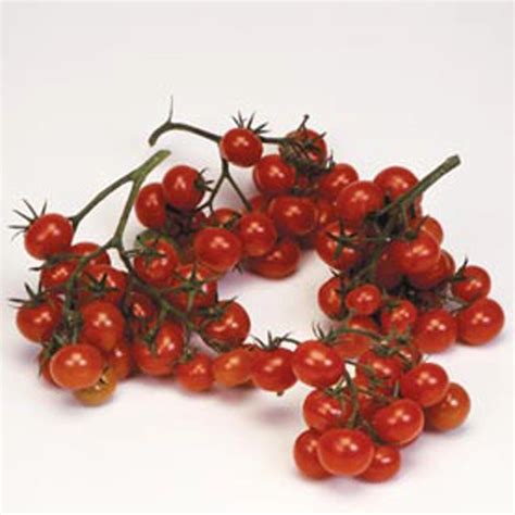 Tomato Christmas Grapes Budget Seeds