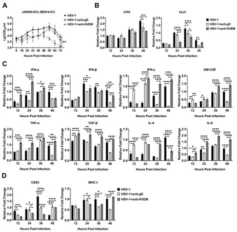 HSV 1 Enters Dendritic Cells Via The Binding Of GD Protein To The HVEM