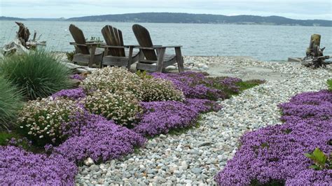 Coan Waterfront Landscape Camano Island Wa Traditional Landscape Seattle By Lankford