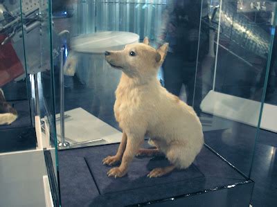 The Remarkable Return: The First Animal To Return Alive From Space